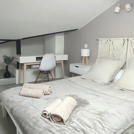 Le Cocon De Rose טולוז