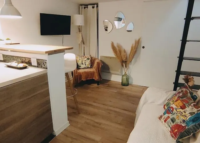 Appartement Le Cocon De Rose *