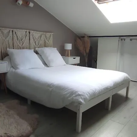 Le Cocon De Rose Toulouse